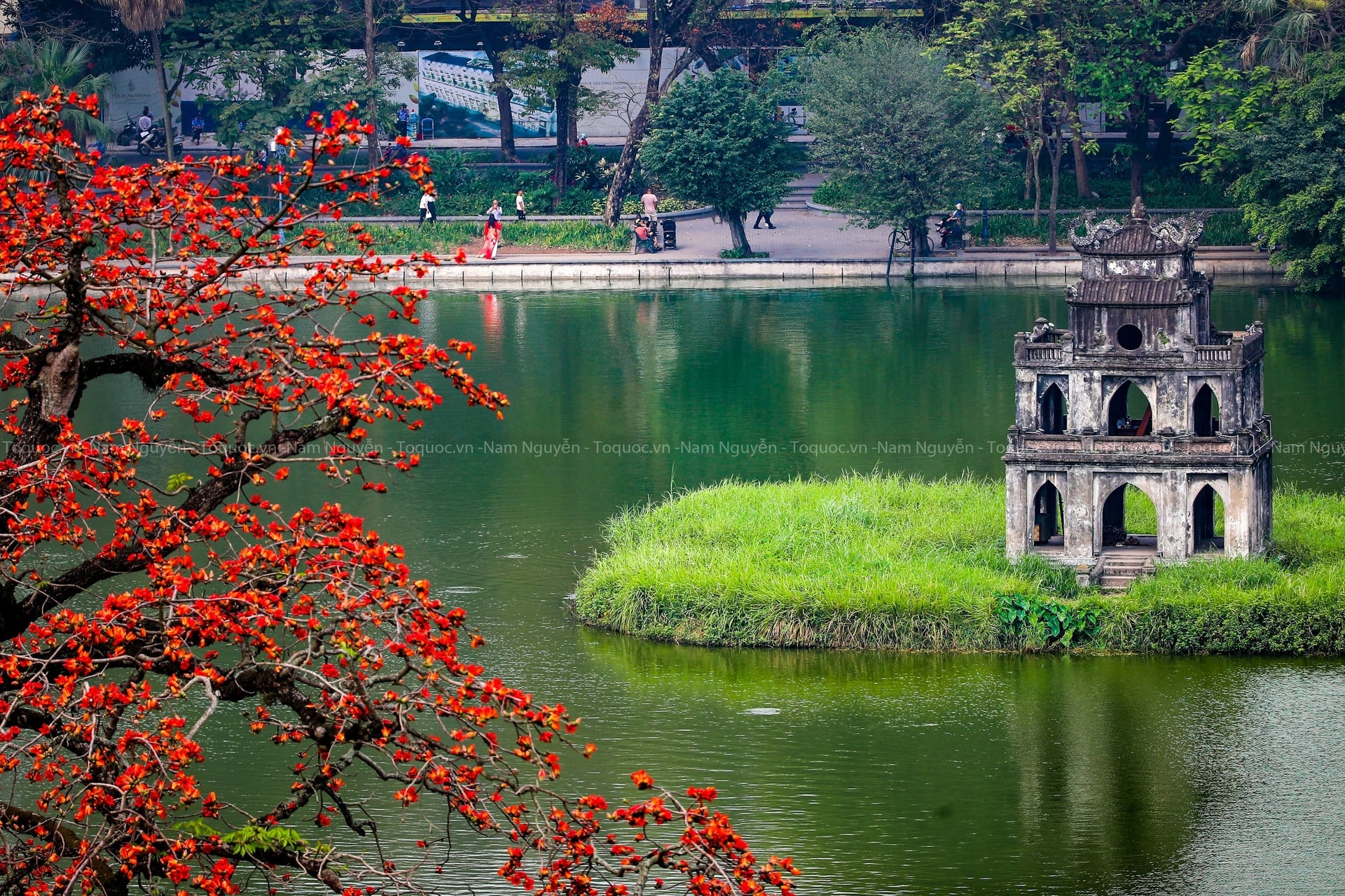 cotcohanoi3.jpg