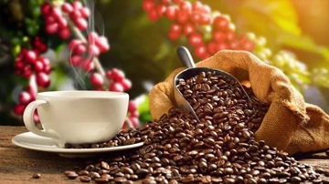 Loại hạt thế giới uống mỗi ngày mang về cho Việt Nam 1,76 tỷ USD sau 2 tháng
