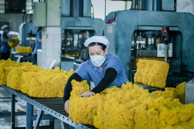 Ngành cao su được đánh giá chịu tác động trực tiếp và rõ rệt nhất từ xung đột Trung Đông. anh-dao-phong-1-3389-1363.jpg