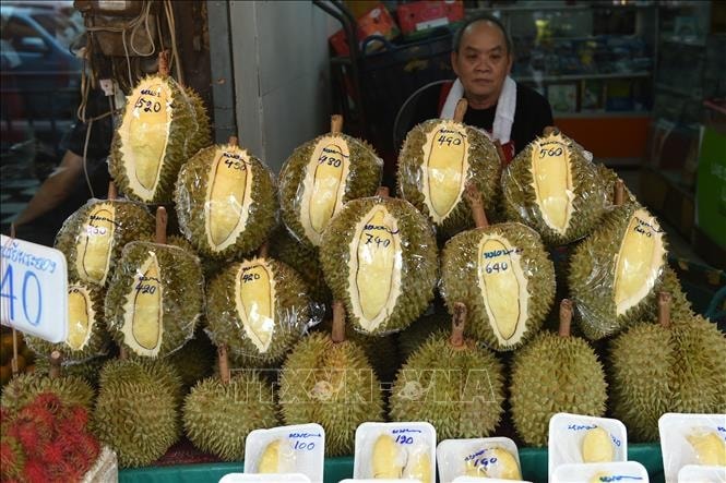 sau-rieng-thai-lan-2142024.jpg