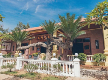Loài cây siêu giá trị được 'đại gia kim cương' Lý Nhã Kỳ trưng bày trong khu biệt phủ trăm tỷ rộng 10.000m², từng xác lập kỷ lục Việt Nam