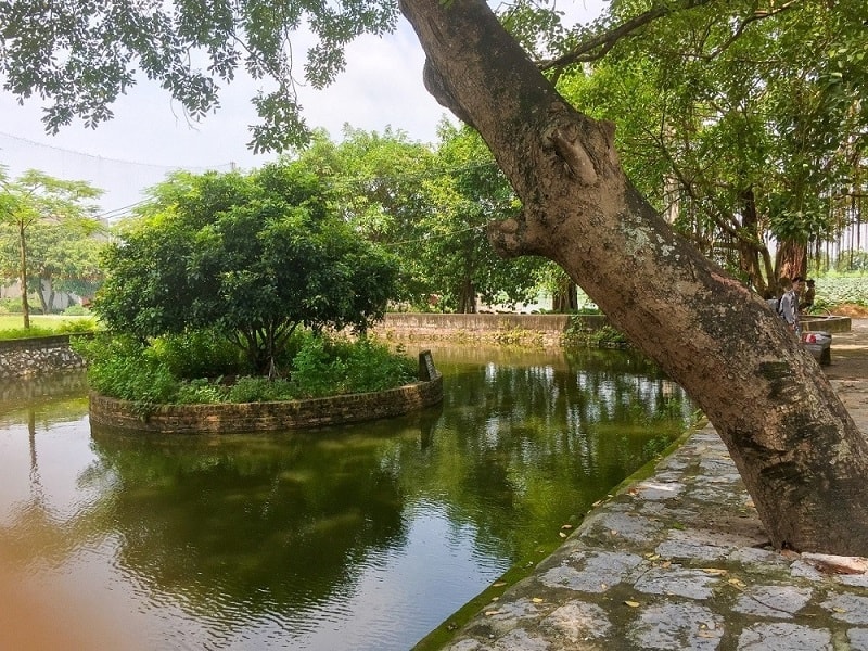 Cảnh quan ao đình làng Cựu. Ảnh: Internet