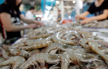 'Mỏ vàng dưới nước' của Việt Nam trỗi dậy: Trung Quốc chi đậm 309 triệu USD mua về, mặt hàng 'át chủ bài' mới lộ diện