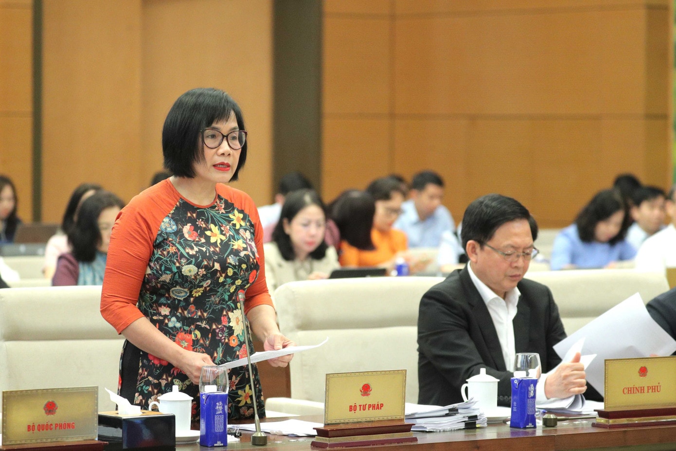 Thứ trưởng Bộ Tư pháp Đặng Hoàng Oanh. Ảnh: QH 23tvqh1.jpg