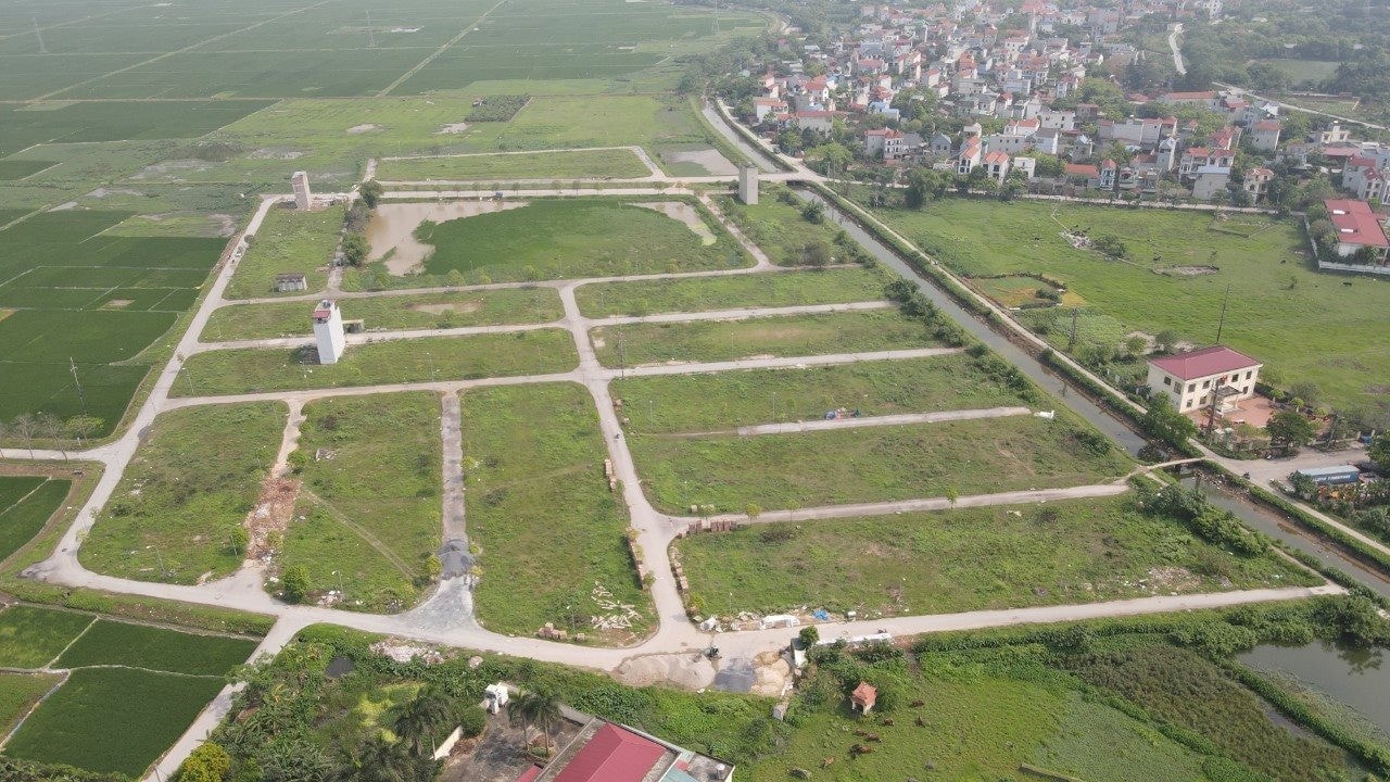 dat-dich-vu-dong-mai-3-1911.jpg