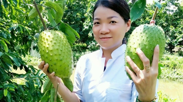 Đi lên từ gian khó, nông dân Cần Thơ kiếm được 10 tỷ/năm nhờ loại quả to bự từng bị ‘ngó lơ’, nay tạo ra sản phẩm đi thẳng sang Mỹ, Hàn Quốc
