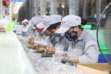 Khủng hoảng logistics lan rộng: Nông sản Việt giảm giá tới 30% để ‘giải cứu’ hàng tồn