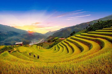 Ngôi làng duy nhất của Việt Nam được vinh danh 'đẹp nhất châu Á': Cách Hà Nội 300km, được báo nước ngoài ví như 'làng trên mây'