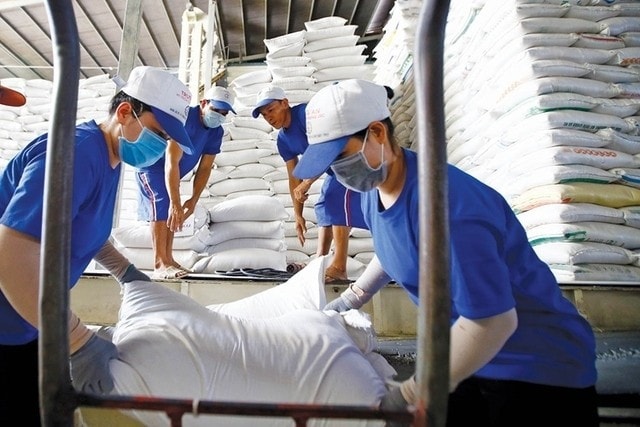 Giá gạo xuất khẩu giảm đáng kể trong 2 tháng đầu năm. gao.jpg