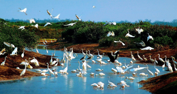 VQG đầu tiên tại Việt Nam được công nhận là Khu Ramsar đón danh hiệu mới