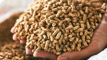 Một 'mỏ vàng' mới nổi của Việt Nam âm thầm 'hốt bạc': 2 tháng thu hơn 250 triệu USD, Trung Quốc chi đậm