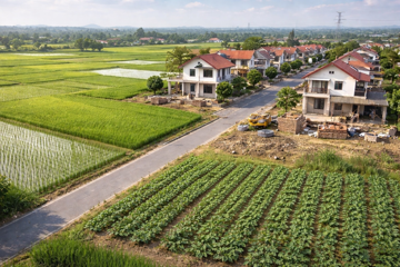 Không phải cứ có đất nông nghiệp là được giảm 70% tiền chuyển đổi, 3 trường hợp sau sẽ bị ‘gạch tên’