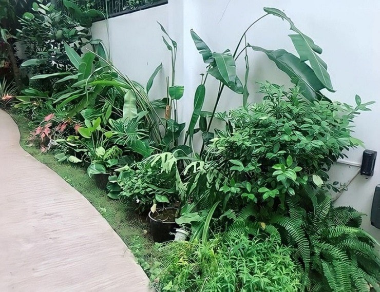 Biệt thự sân vườn bạc tỷ bề thế ở ngoại ô TP. HCM của vợ chồng Lý Hải - Minh Hà: Vị trí đắc địa, nội thất bằng gỗ cao cấp- Ảnh 6. Biệt thự sân vườn bạc tỷ bề thế ở ngoại ô TP. HCM của vợ chồng Lý Hải - Minh Hà: Vị trí đắc địa, nội thất bằng gỗ cao cấp- Ảnh 6.