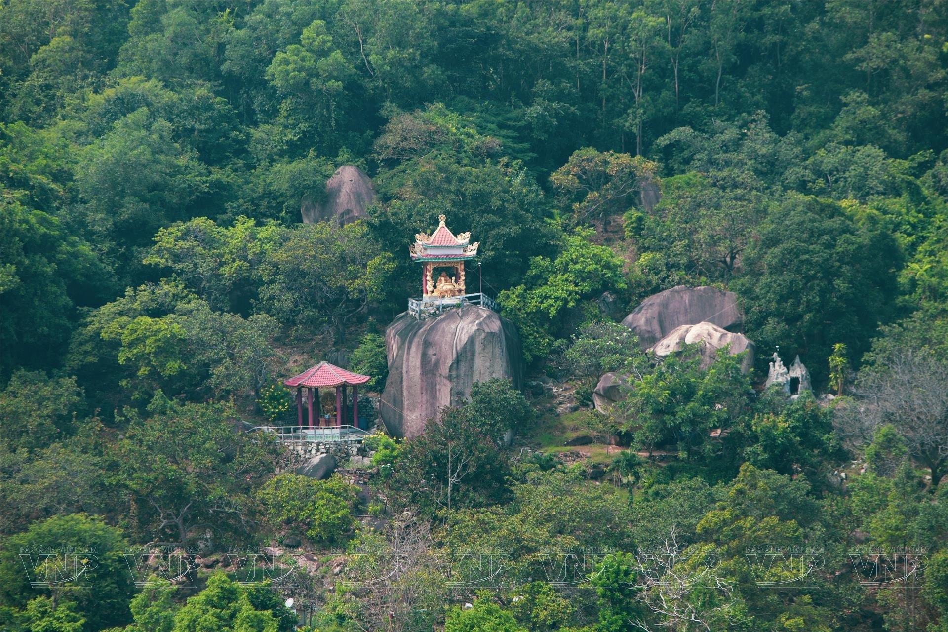 dongnai3.jpg