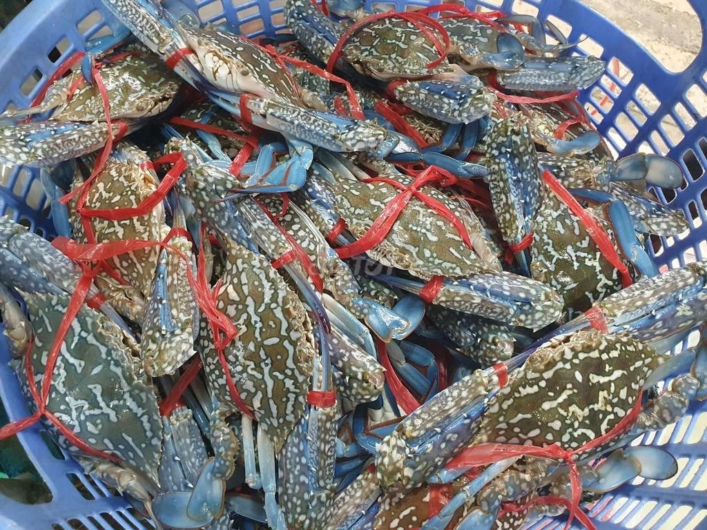 Vé máy bay tăng cao, đây là những điểm đến vừa đẹp vừa tiết kiệm để 'đi trốn' dịp 30/4 - Ảnh 4.