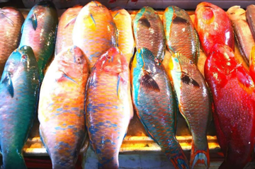 Cảnh báo 5 loại cá tiềm ẩn nguy cơ gây hại sức khỏe, dù rẻ mấy cũng không nên mua