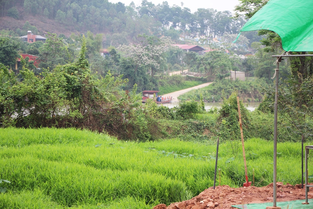 TP tương lai của Việt Nam sắp có cây cầu trăm tỷ xóa bỏ cảnh 'qua sông lụy đò' nhiều năm- Ảnh 1. TP tương lai của Việt Nam sắp có cây cầu trăm tỷ xóa bỏ cảnh 'qua sông lụy đò' nhiều năm- Ảnh 1.