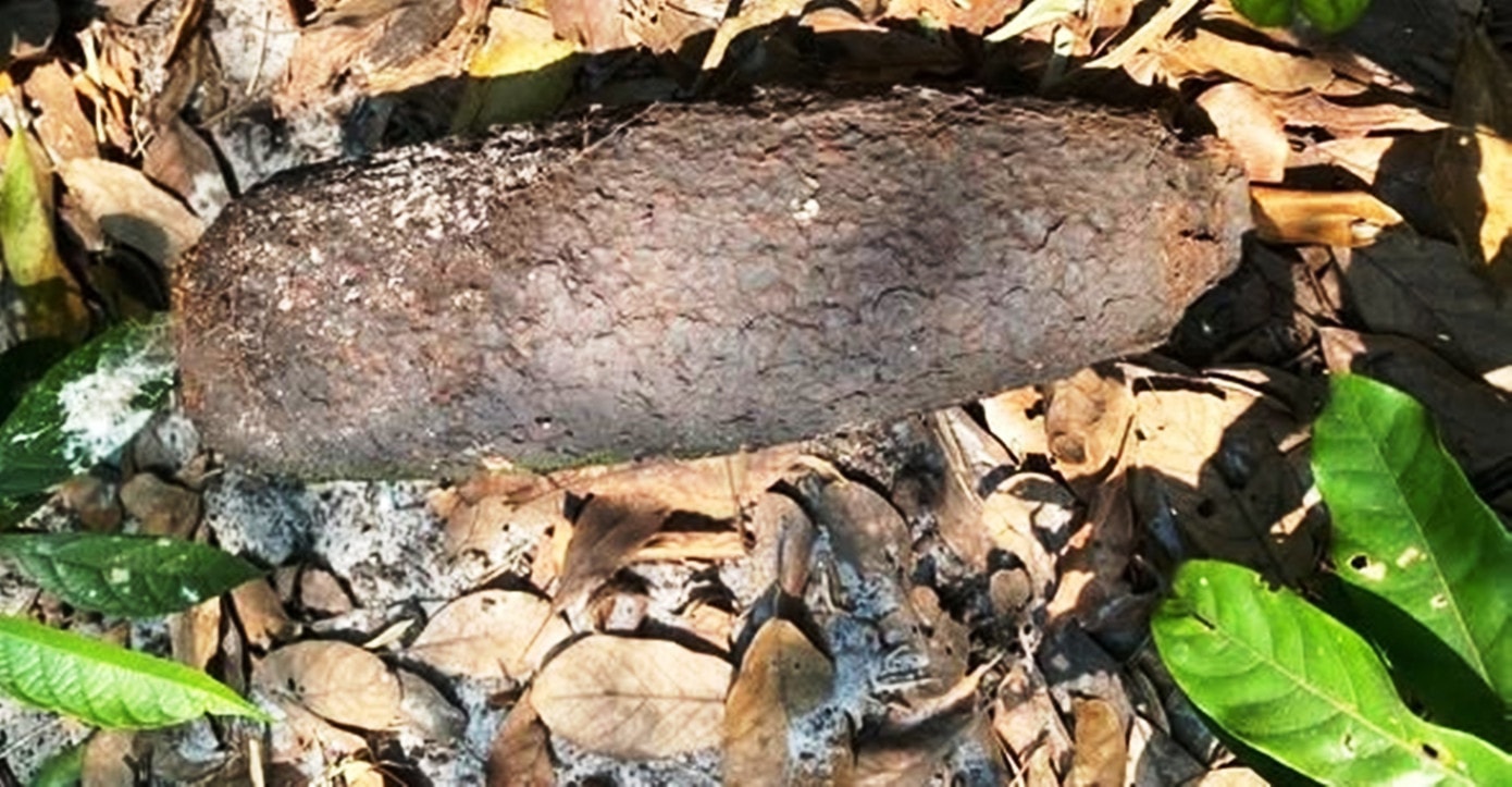 Một quả đạn pháo vừa được người dân xã Đan Điền (Huế) phát hiện. dan-phao.jpg