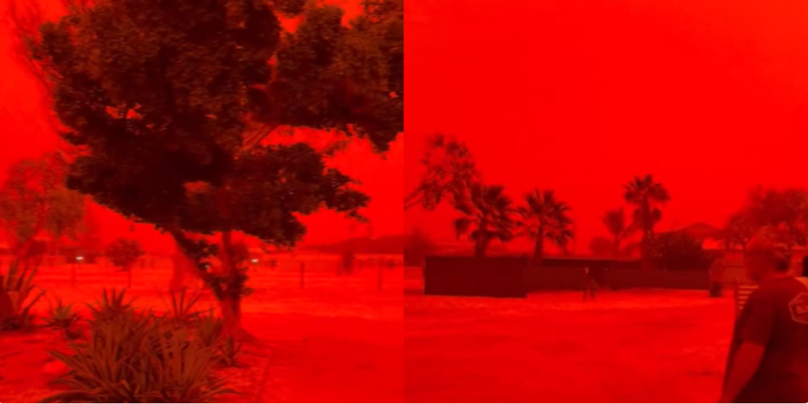 s-2_1774867946.png