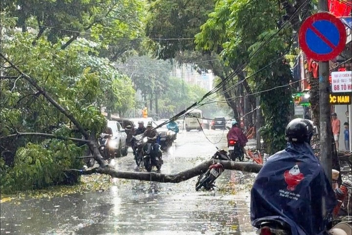 Mưa dông đã khiến 1 người bị thương do cây đổ trên phố Tô Hiệu, Hà Nội. Mưa dông làm 4 người chết, 9 người bị thương - Ảnh 1.