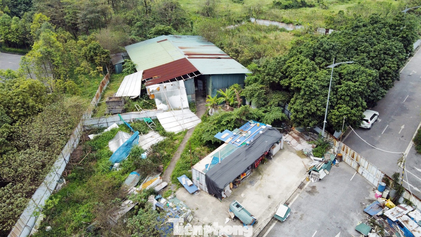 Chủ dự án 88 Central 'lật kèo' sau 6 năm ôm đất: Chuyển đơn đến công an giải quyết - Ảnh 12.