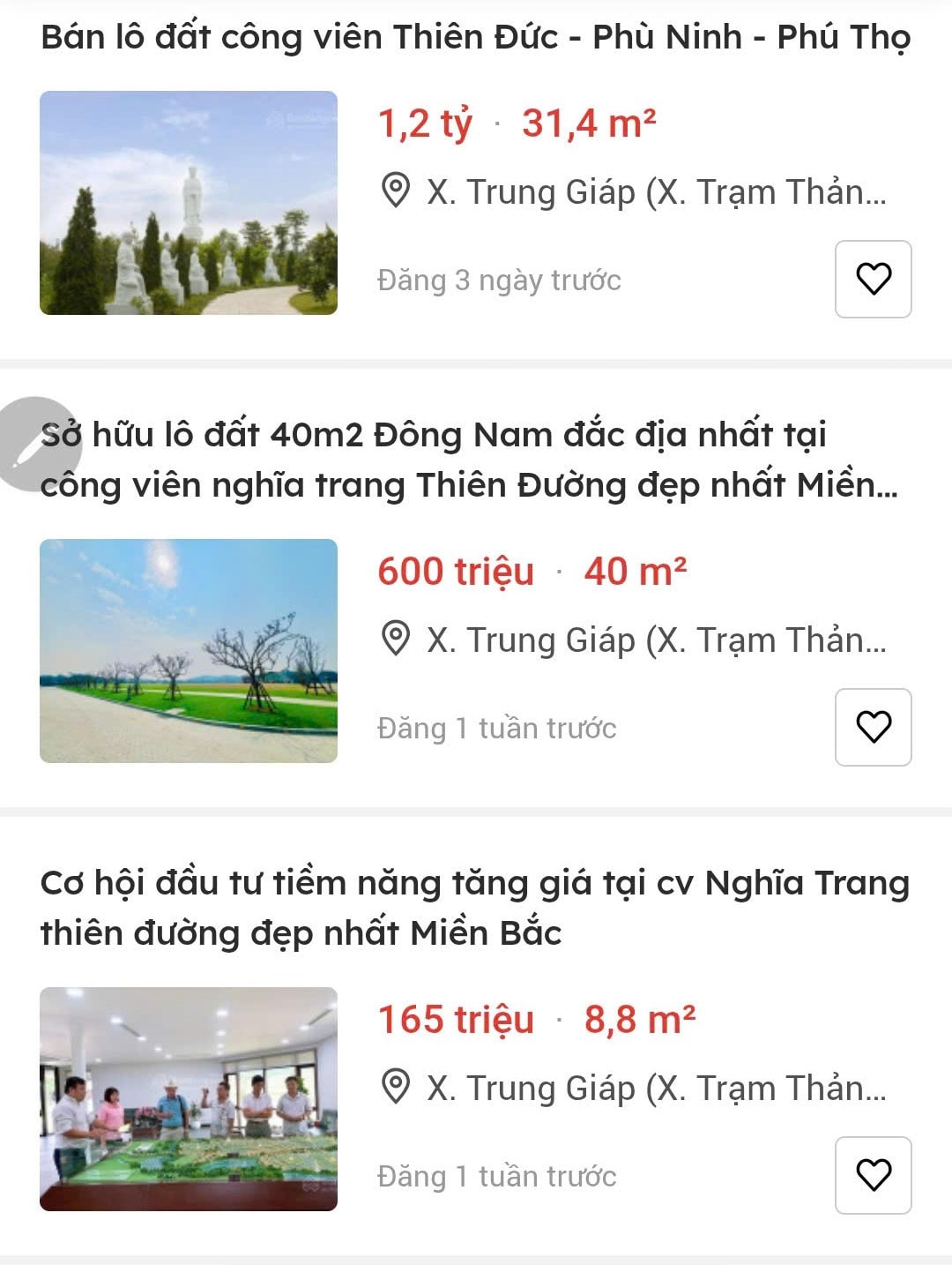 Sôi động thị trường nhà ... 'cõi âm' - Ảnh 1.