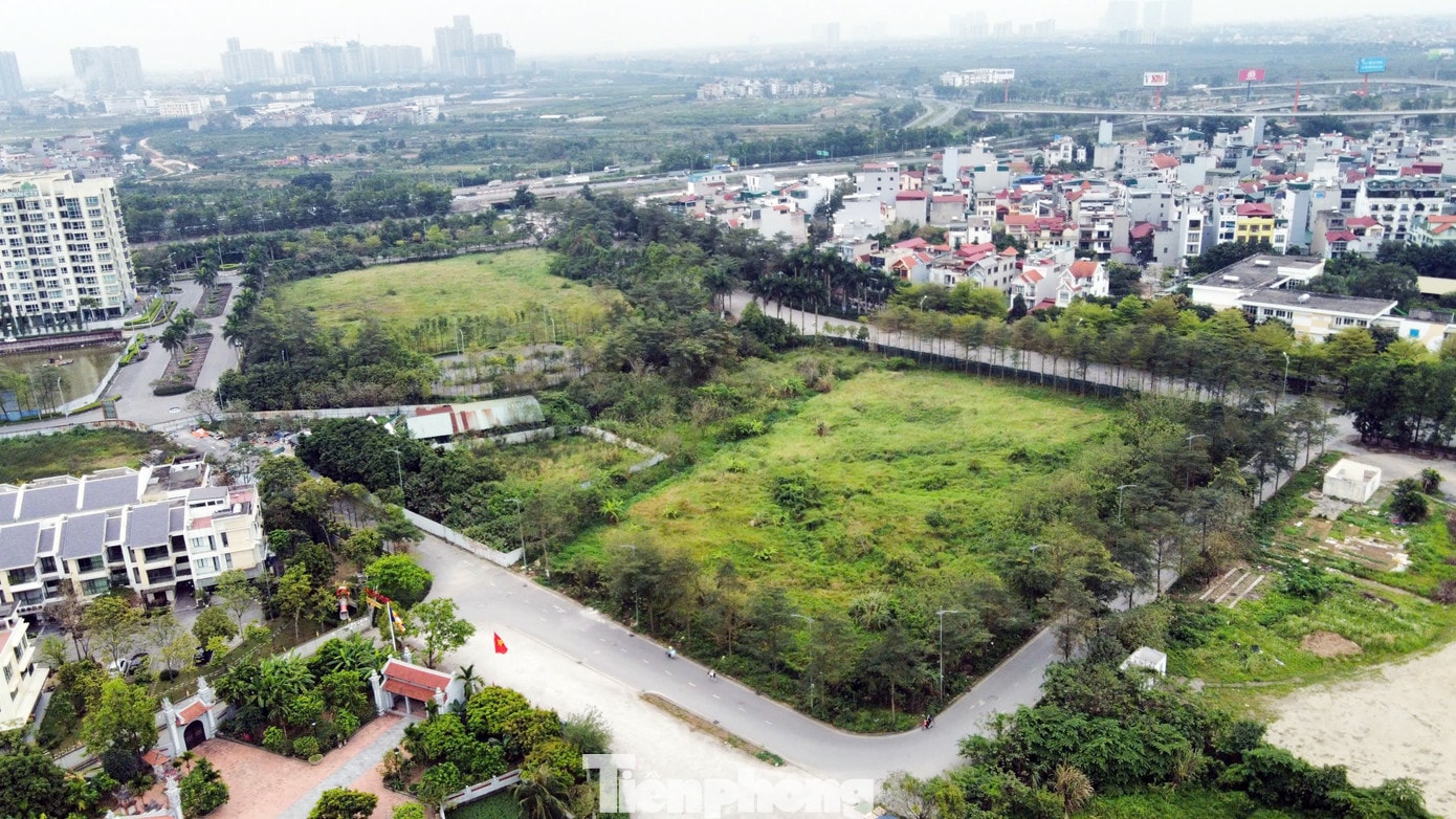 Chủ dự án 88 Central 'lật kèo' sau 6 năm ôm đất: Chuyển đơn đến công an giải quyết - Ảnh 11.