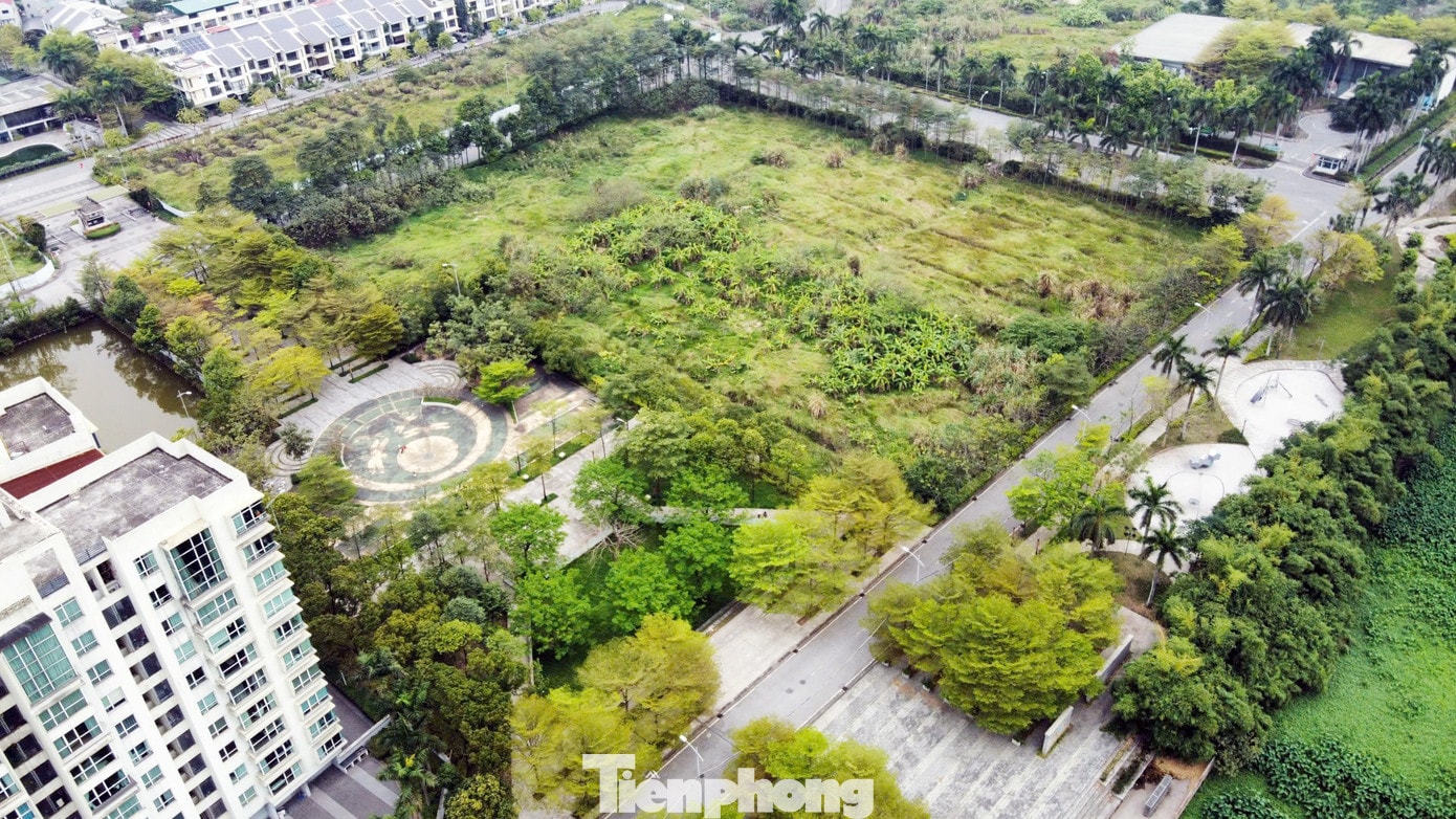 Chủ dự án 88 Central 'lật kèo' sau 6 năm ôm đất: Chuyển đơn đến công an giải quyết - Ảnh 9.