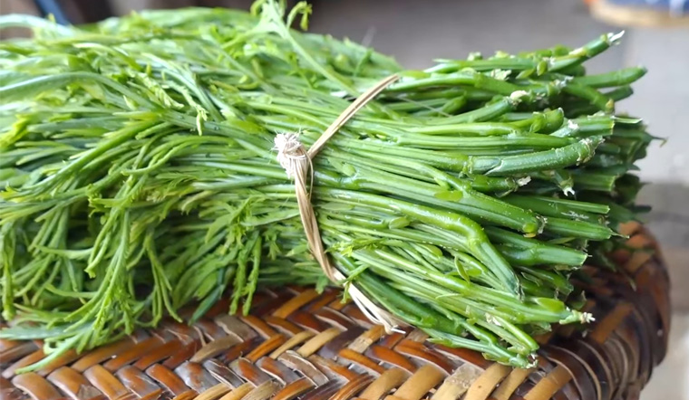 rau-thoi.png