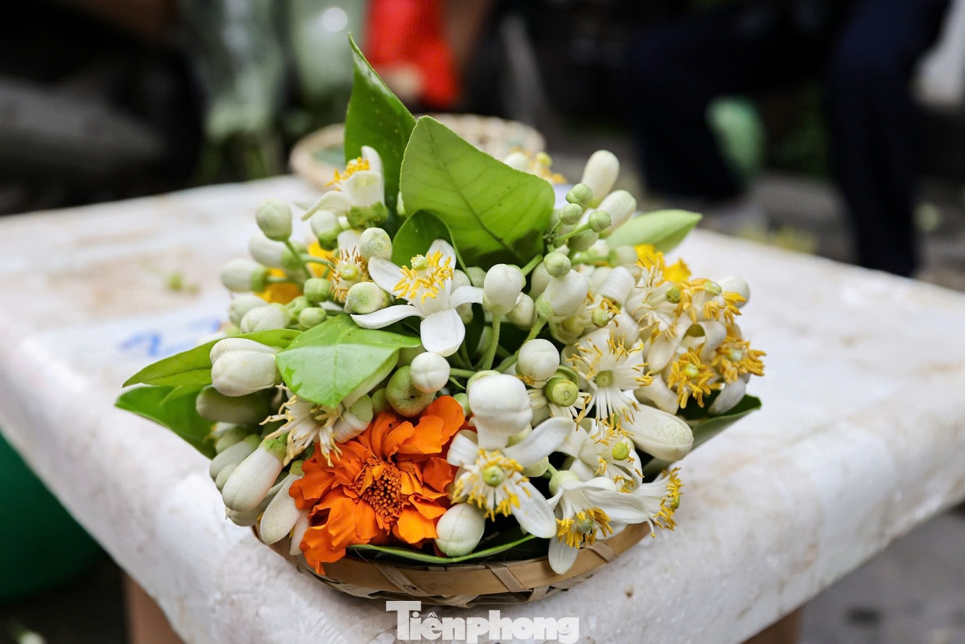 Khoảng 1 tuần trở lại đây, hoa bưởi xuất hiện nhiều trên các tuyến phố trên địa bàn Thành phố để phục vụ nhu cầu cho người dân Thủ đô. tp-ram-21.jpg