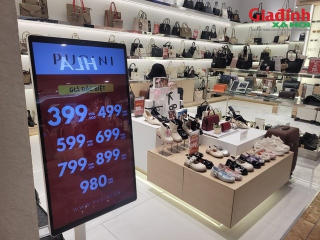 1772523599-base64-18311-width640height480.jpeg