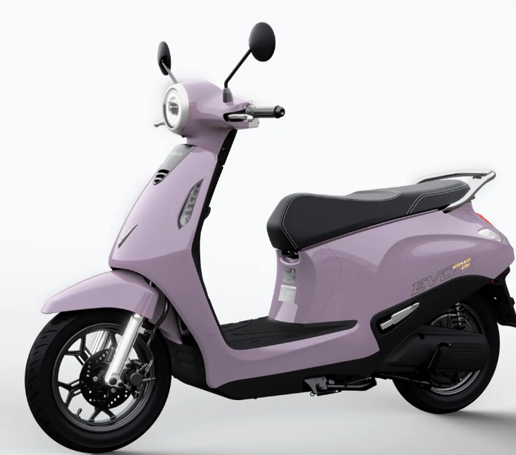 VinFast Evo Grand Lite-2