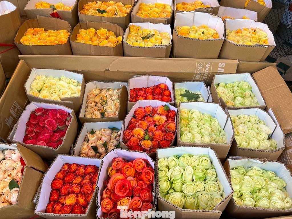 Hoa hồng bắt đầu về chợ Hồ Thị Kỷ phục vụ nhu cầu quà tặng của khách dịp 8/3 tp-phu-nu-uyen-phuong-3.jpg