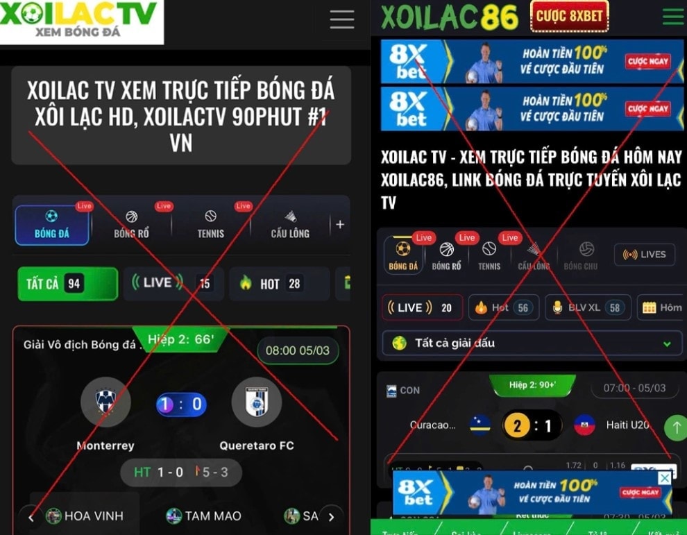 xltv2.jpg