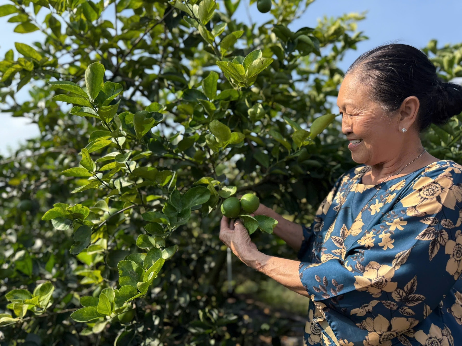 Xuất khẩu nông lâm thủy sản: Nhiều ngành hàng tăng tốc, mở rộng thị phần- Ảnh 2. Xuất khẩu nông lâm thủy sản: Nhiều ngành hàng tăng tốc, mở rộng thị phần- Ảnh 2.