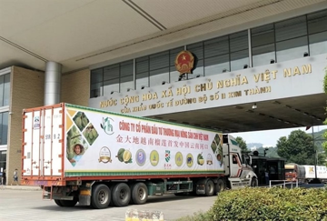 Xuất khẩu của Việt Nam sang Trung Quốc tăng vọt lên hơn 165.800 tỷ đồng, mặt hàng nào góp công lớn nhất?