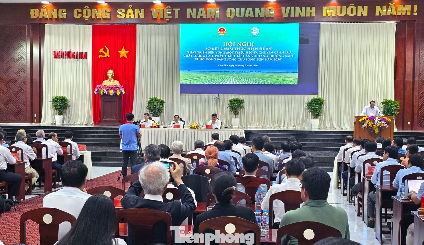 Quang cảnh hội nghị. tp-hn.jpg