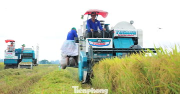Bất ngờ Đề án 1 triệu ha lúa chất lượng cao, phát thải thấp