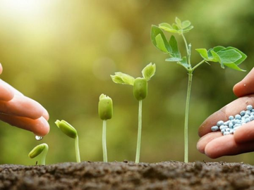 Giá phân bón tăng sốc vì Trung Đông: Hai doanh nghiệp Việt đã 'chuẩn bị hàng' từ trước