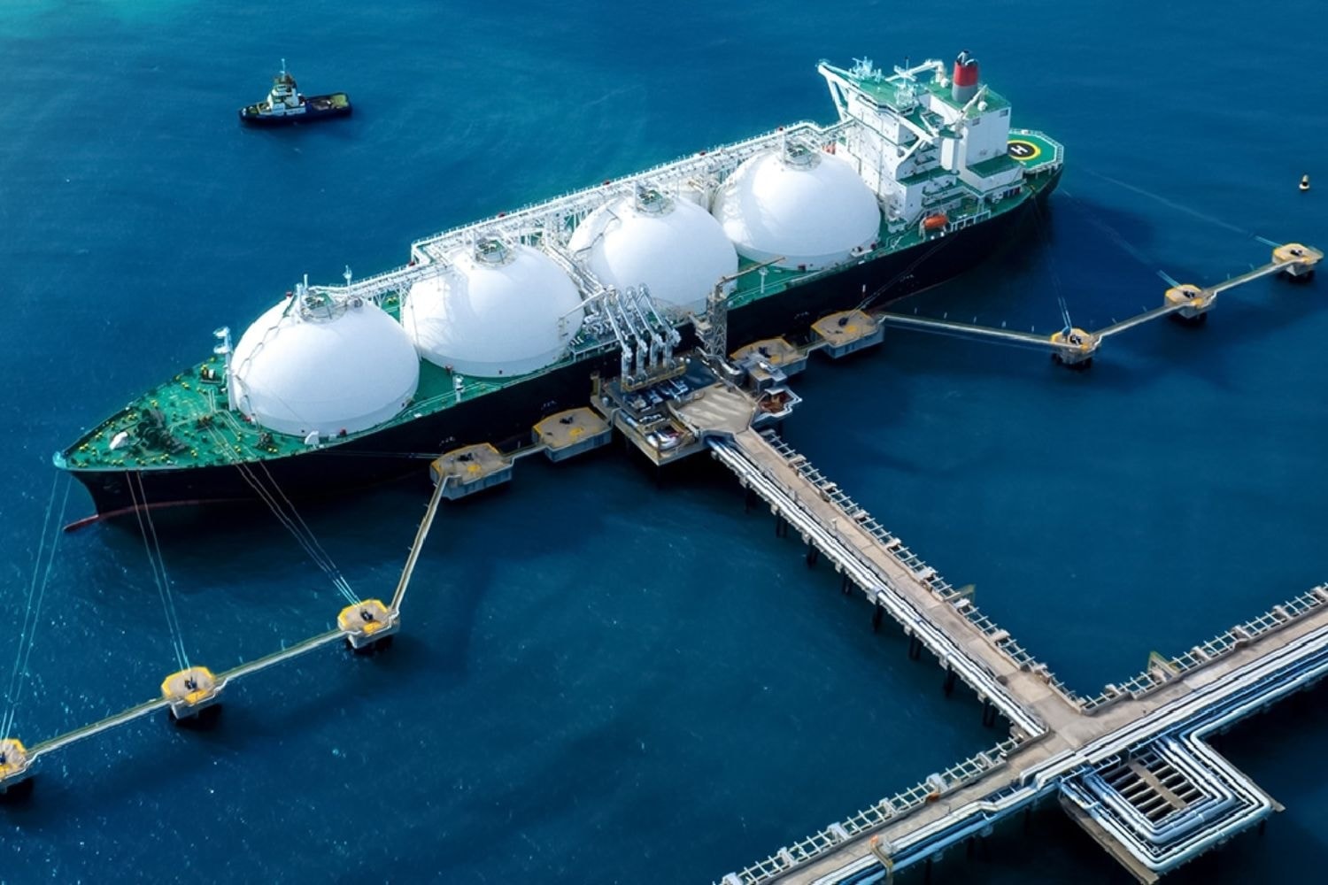 tau-cho-lng-gia-khi-dot-tang.jpg