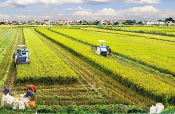 Nông nghiệp “khát vốn”: Chỉ chiếm 11% tín dụng, khó bứt phá tăng trưởng