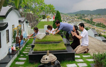 Tết Thanh minh 2026 rơi vào ngày nào? Những điều cần biết để tưởng nhớ tổ tiên trọn vẹn