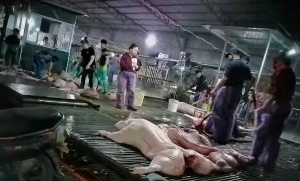 Vụ tuồn thịt lợn bệnh đưa vào trường học gây bức xúc, lo lắng với nhiều phụ huynh. Vụ thịt lợn dịch vào trường học: Thấy gì về thị trường suất ăn tỷ USD tại Việt Nam? - Ảnh 2.