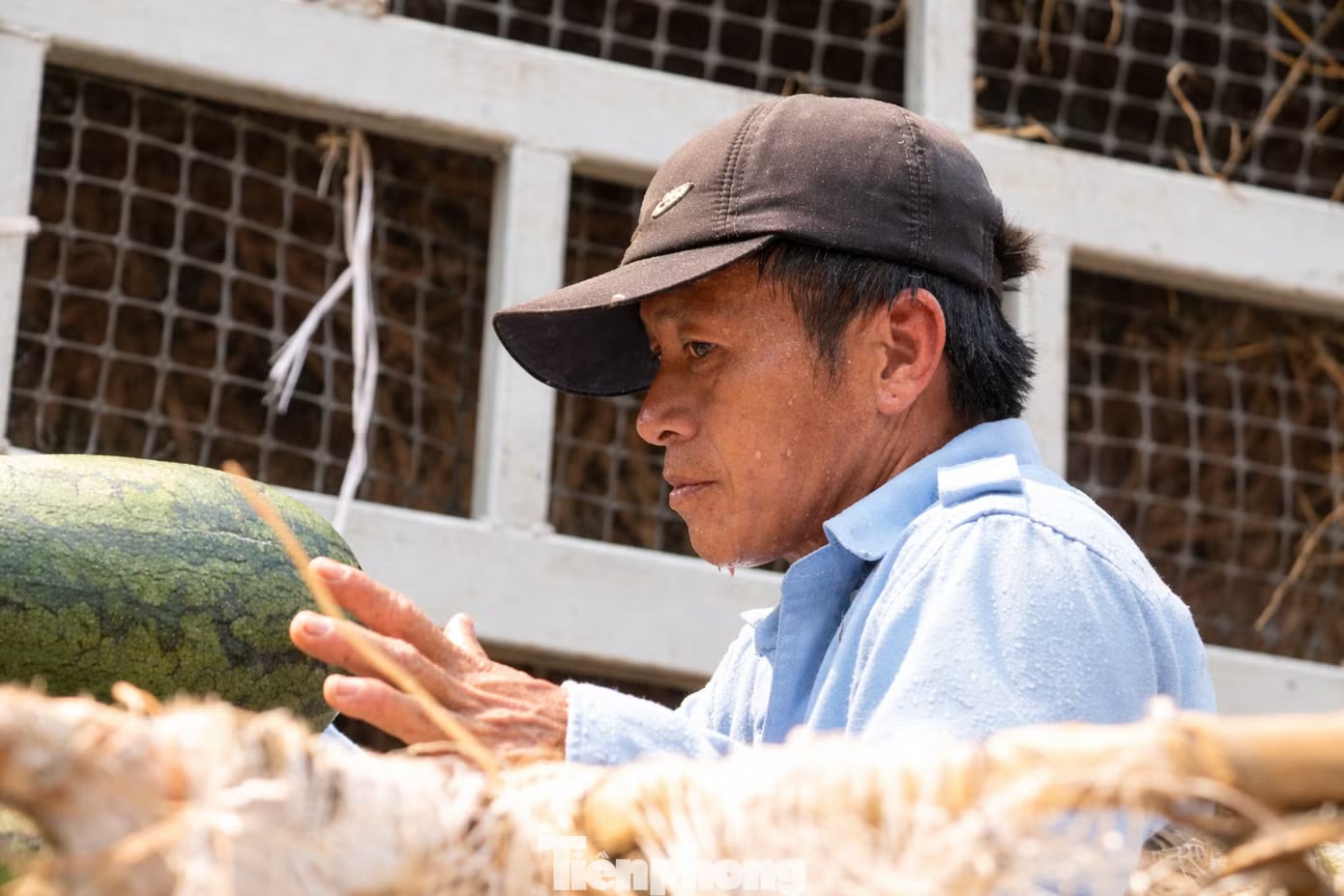 Nắng hơn 40 độ C, người lao động gồng mình mưu sinh - Ảnh 4.