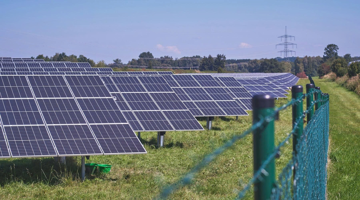 Phê duyệt siêu dự án điện mặt trời 800MW: Rộng bằng 1.700 sân bóng đá, đủ cấp điện cho 180.000 hộ gia đình