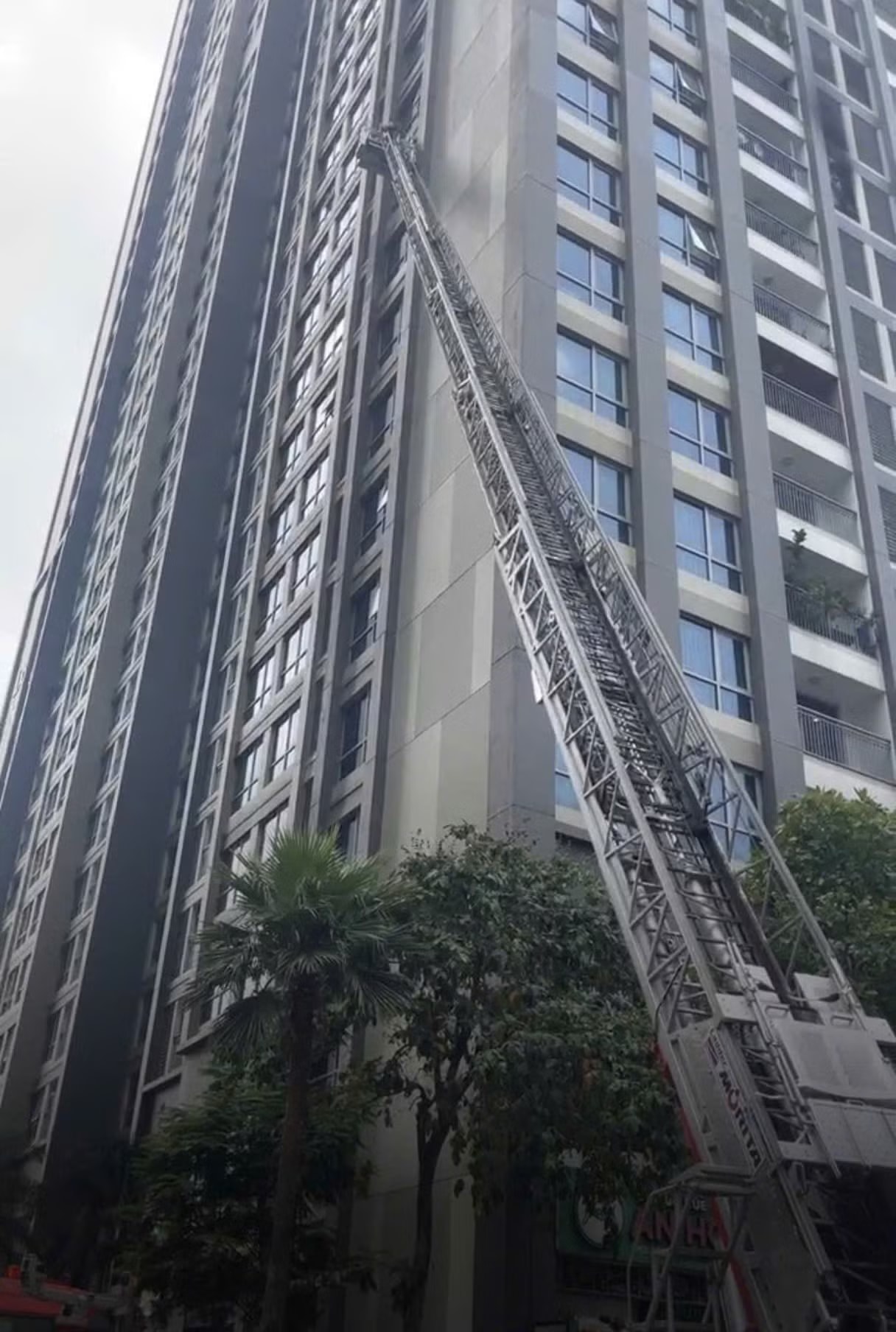 Cháy căn hộ tầng 10 chung cư cao cấp TP.HCM, hàng trăm cư dân tháo chạy - Ảnh 2.