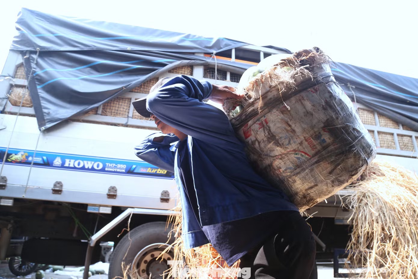 Nắng hơn 40 độ C, người lao động gồng mình mưu sinh - Ảnh 3.