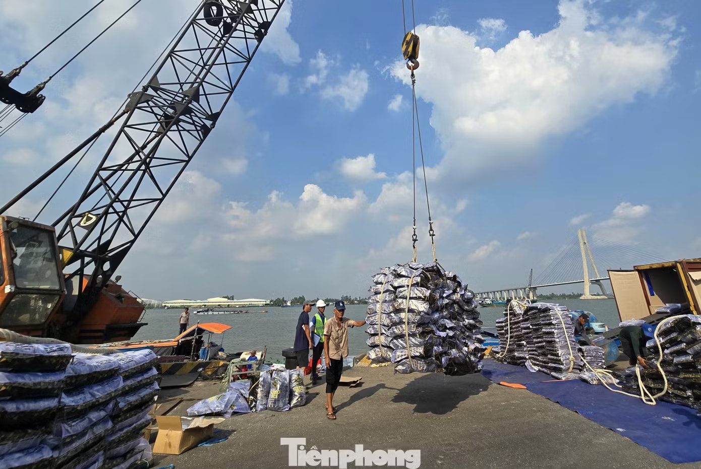 Nền kinh tế và doanh nghiệp ĐBSCL còn nhiều khó khăn chưa được tháo gỡ. Doanh nghiệp đối mặt loạt thách thức 'sống còn' - Ảnh 1.