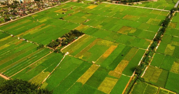 Người dân sẽ được nhận tối đa 500.000.000 đồng khi Nhà nước thu hồi đất: Loại đất gì, áp dụng từ bao giờ, đó là địa phương nào?