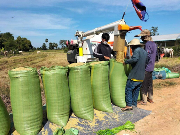 Thu gần 5.500 tỷ đồng từ gạo, Campuchia vẫn bị cảnh báo vì giá xăng dầu cao gấp rưỡi Việt Nam